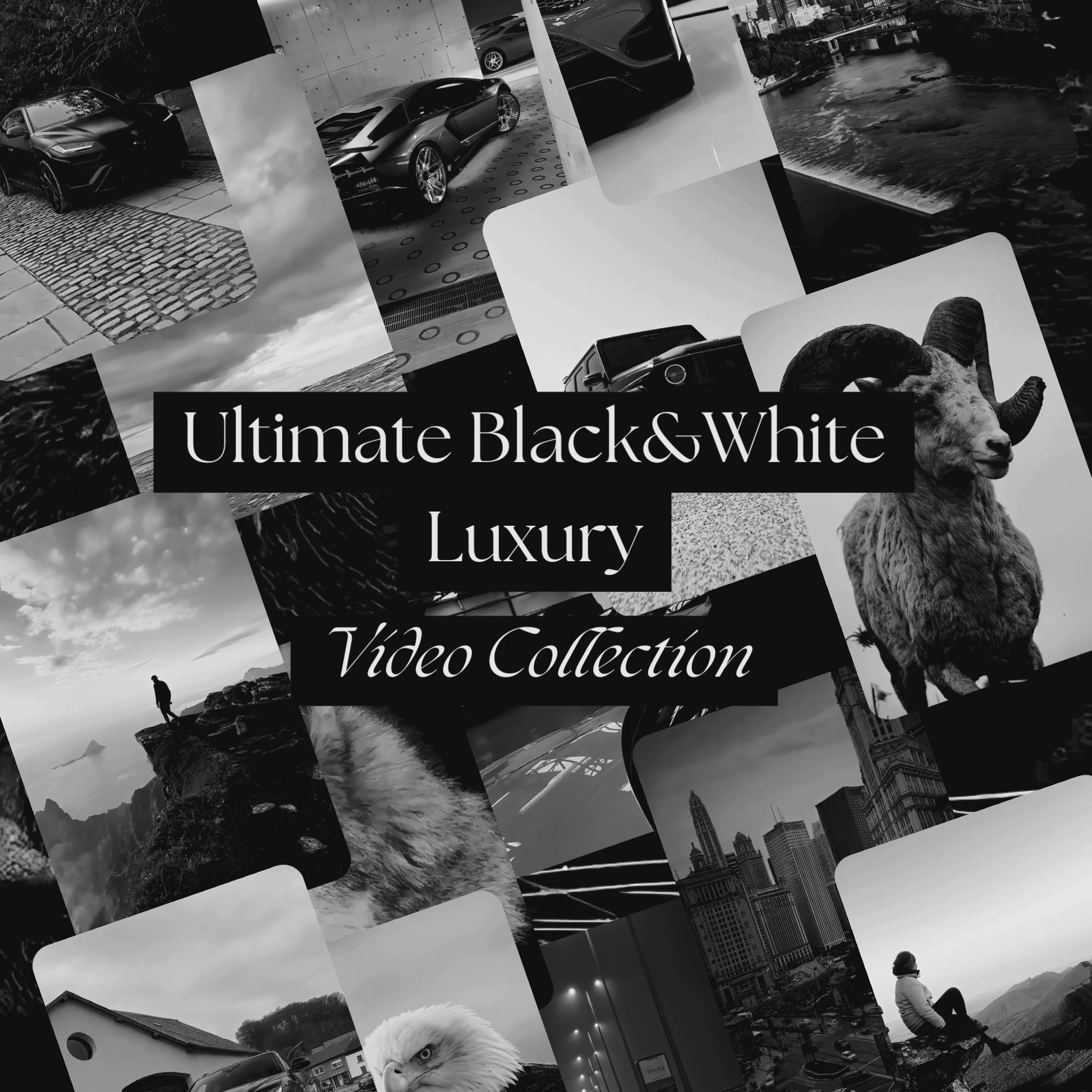 “Scenic Escapes videos in black and white, offering breathtaking natural landscapes and cityscapes from the Essential Black & White Video Collection.”
