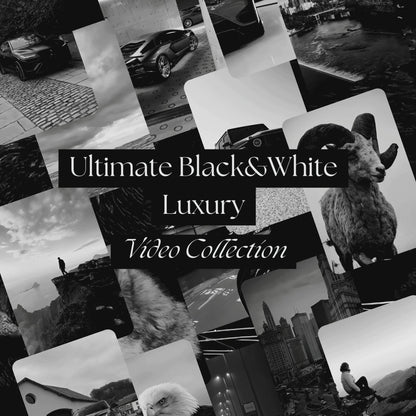 “Scenic Escapes videos in black and white, offering breathtaking natural landscapes and cityscapes from the Essential Black & White Video Collection.”